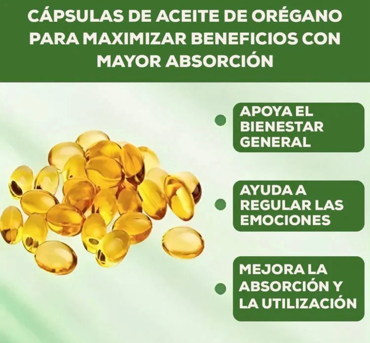Aceite de Orégano Silvestre 6000mg + Semilla Negra (60 Cápsulas) - Foto 4
