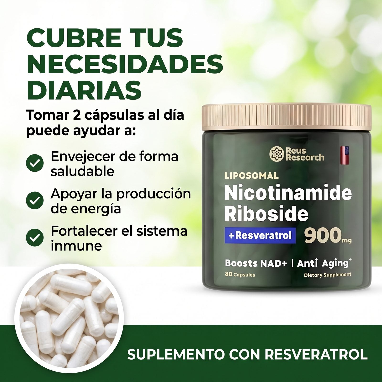 Necesidades Diarias